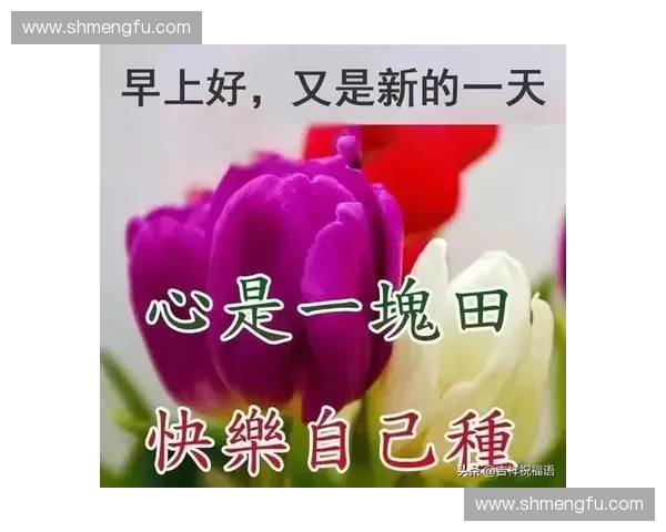 围绕足球比赛祝福语凝聚团队激情与胜利期望的暖心寄语力量传递